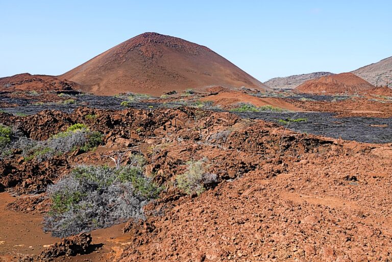 On The Road - lashonharangue - Galapagos - Part 4 6