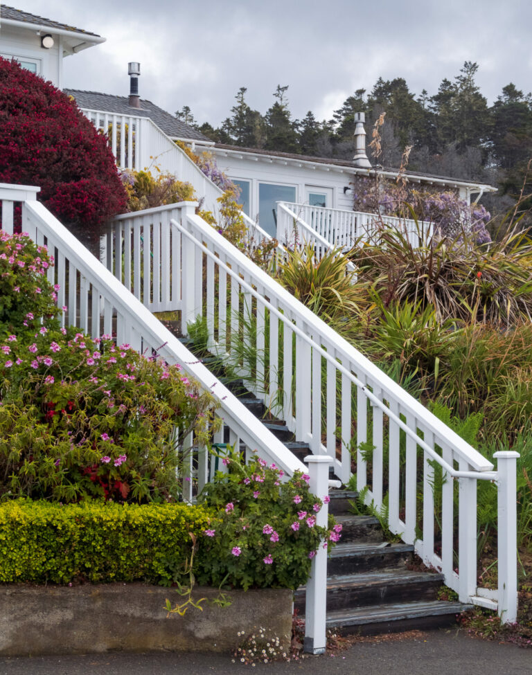 On The Road - JanieM - THE MENDOCINO COAST 6