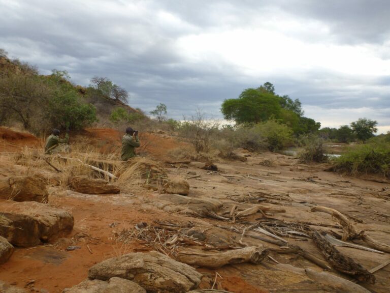 On The Road - way2blue - TSAVO NAT’L PARKS, KENYA IN JULY [2 of 8] 3