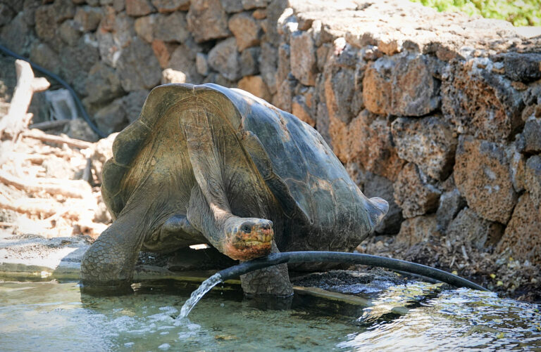 On The Road - lashonharangue - Galapagos - Part 5 3