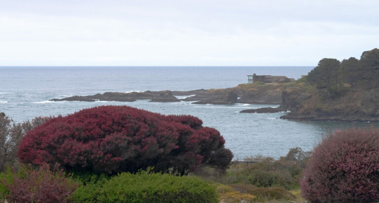 On The Road - JanieM - THE MENDOCINO COAST 5