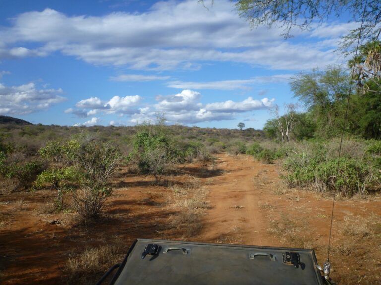 On The Road - way2blue - TSAVO NAT’L PARKS, KENYA IN JULY [1 of 8] 2