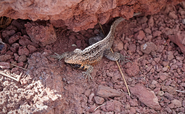 On The Road - lashonharangue - Galapagos - Part 3 3