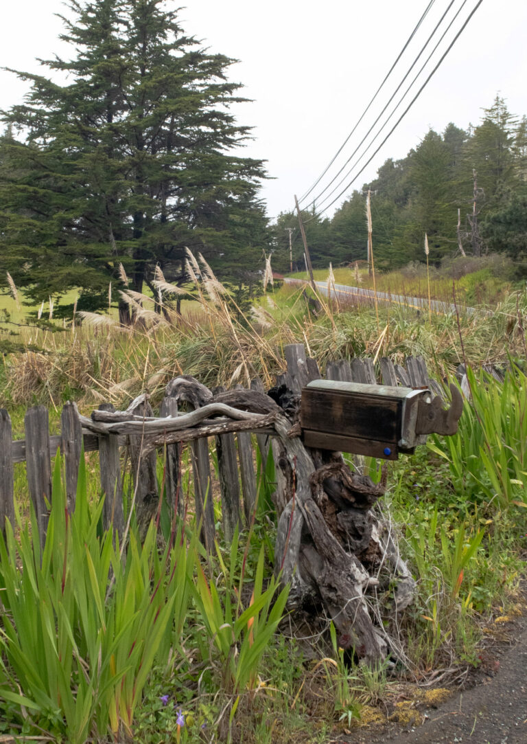 On The Road - JanieM - Mendocino 4 of 5 3