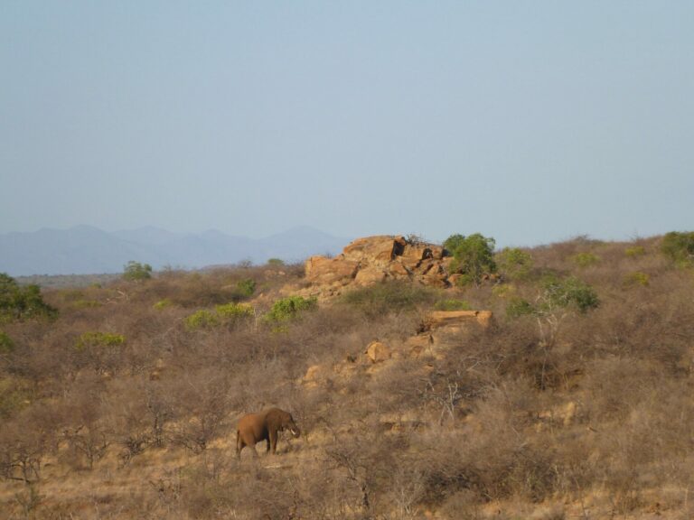 On The Road - way2blue - TSAVO NAT’L PARKS, KENYA IN JULY [2 of 8]