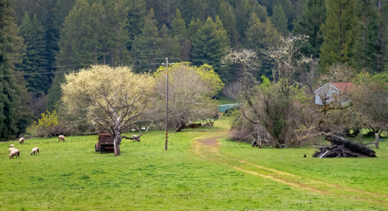 On The Road - JanieM - Mendocino 4 of 5 2