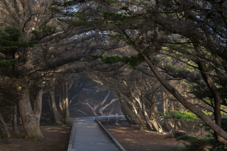 On The Road - JanieM - THE MENDOCINO COAST 1