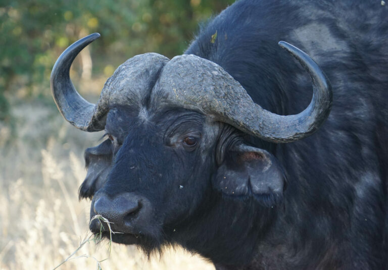 On The Road - Kabecoo - Botswana 40