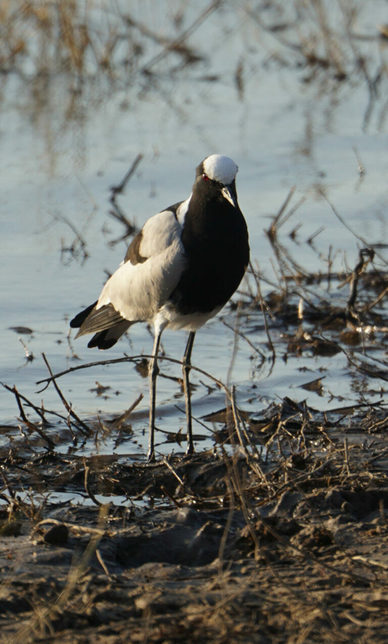 On The Road - Kabecoo - Botswana 44