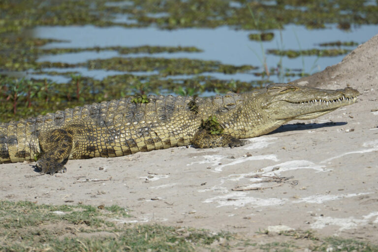 On The Road - Kabecoo - Botswana 42