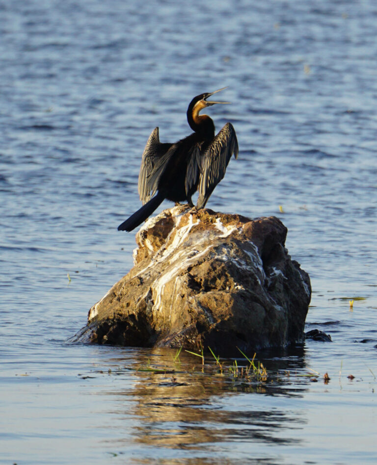 On The Road - Kabecoo - Botswana 43