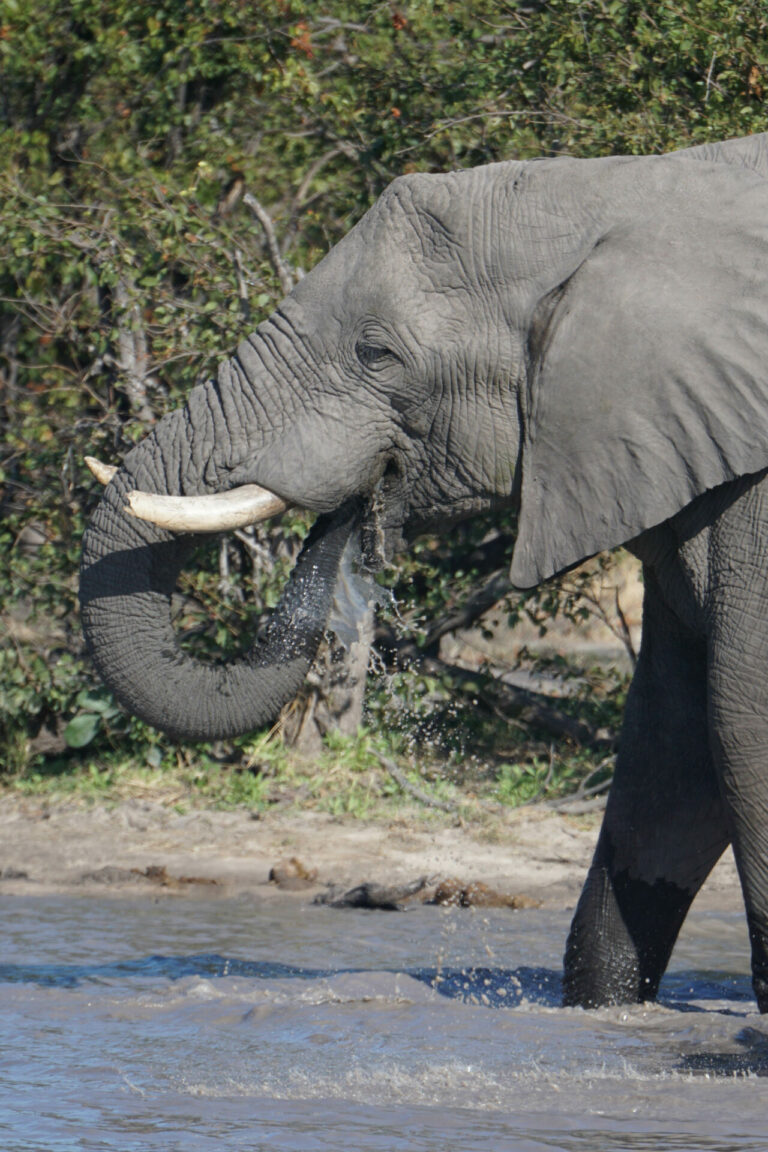 On The Road - Kabecoo - Botswana 46