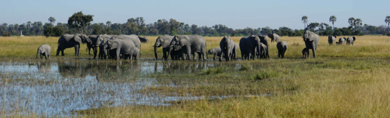 On The Road - Kabecoo - Botswana 48