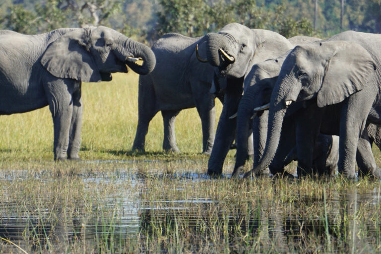 On The Road - Kabecoo - Botswana 47