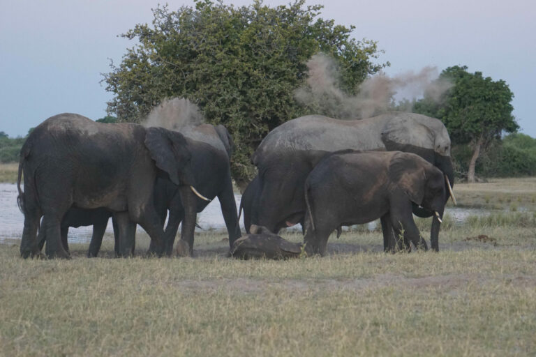 On The Road - Kabecoo - Botswana 39