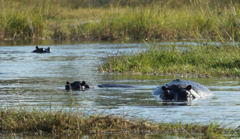 On The Road - Kabecoo - Botswana 41