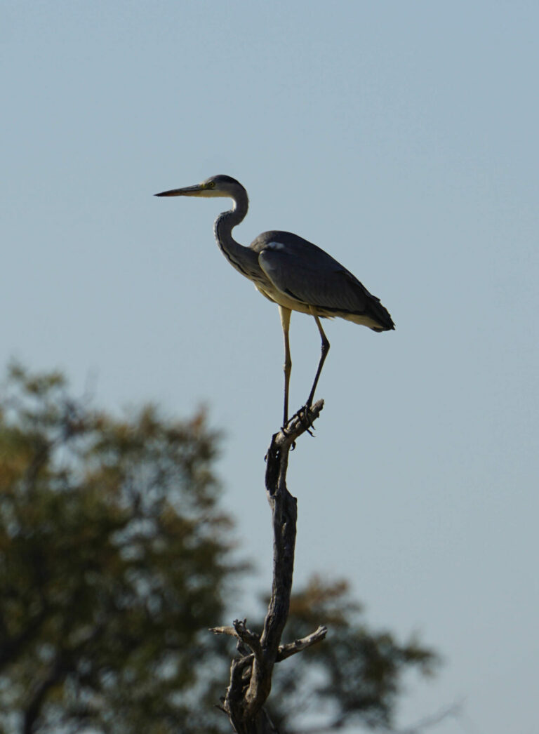 On The Road - Kabecoo - Botswana 45