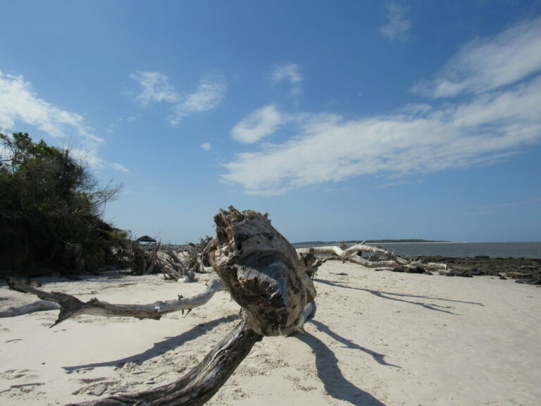 On The Road - Paul in St. Augustine - Boneyard Beach 4