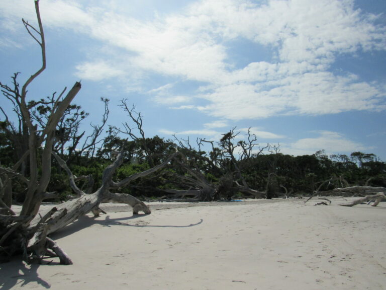 On The Road - Paul in St. Augustine - Boneyard Beach 6