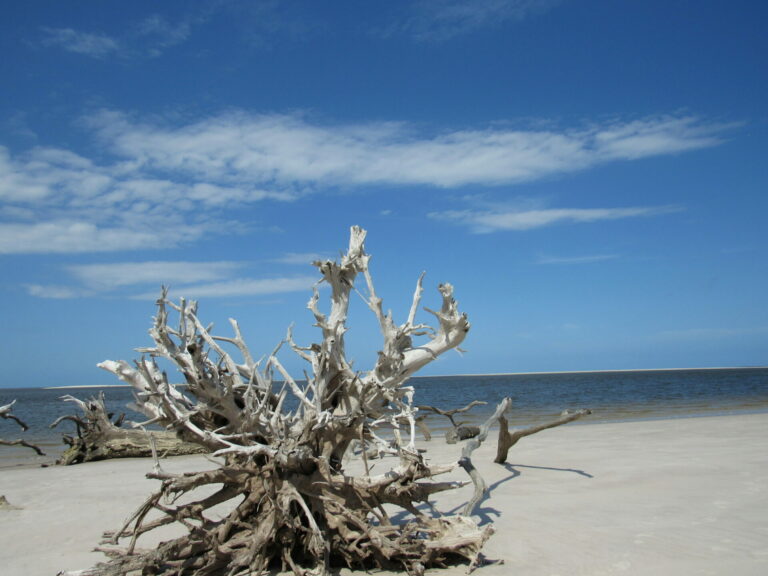 On The Road - Paul in St. Augustine - Boneyard Beach 1