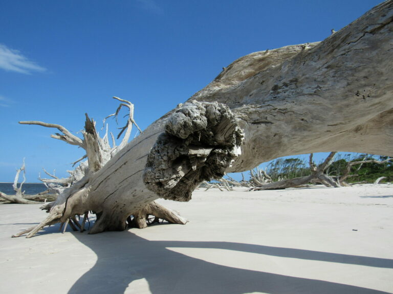 On The Road - Paul in St. Augustine - Boneyard Beach 2