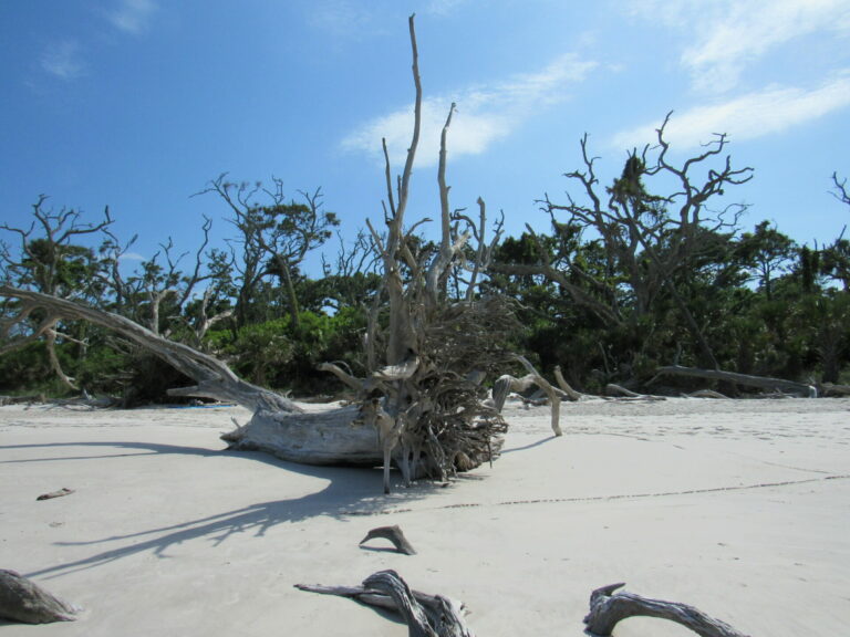 On The Road - Paul in St. Augustine - Boneyard Beach 5