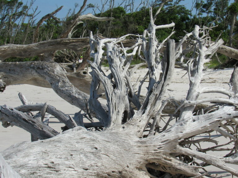 On The Road - Paul in St. Augustine - Boneyard Beach 3