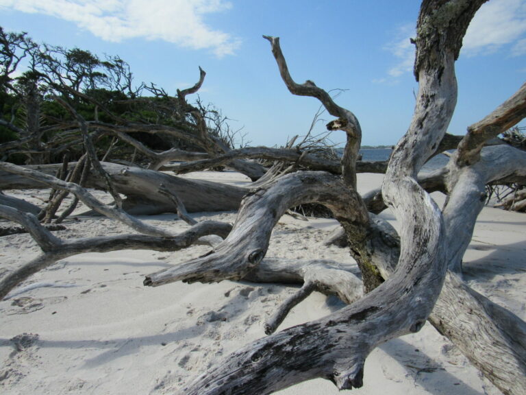 On The Road - Paul in St. Augustine - Boneyard Beach