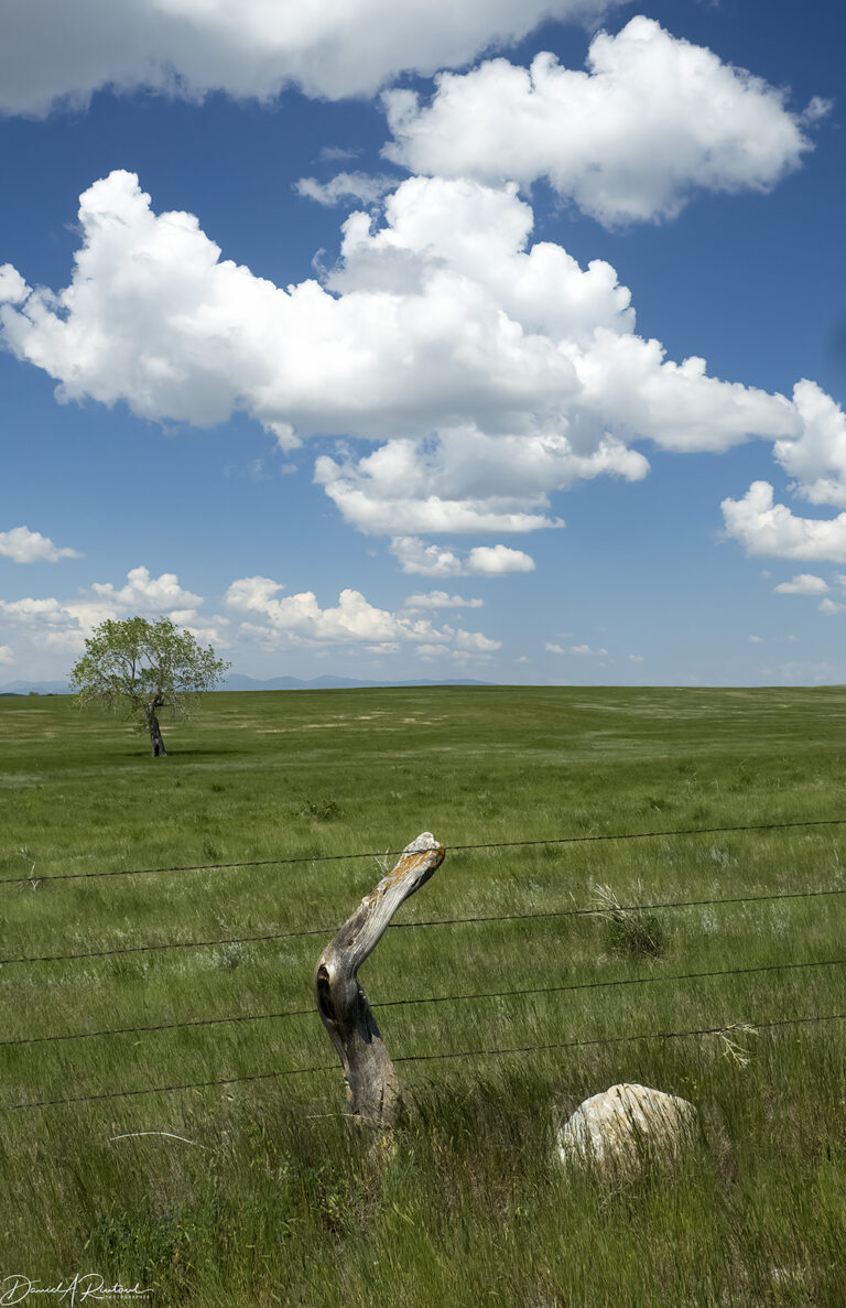 On The Road - Albatrossity - Montana prairies - 3 6