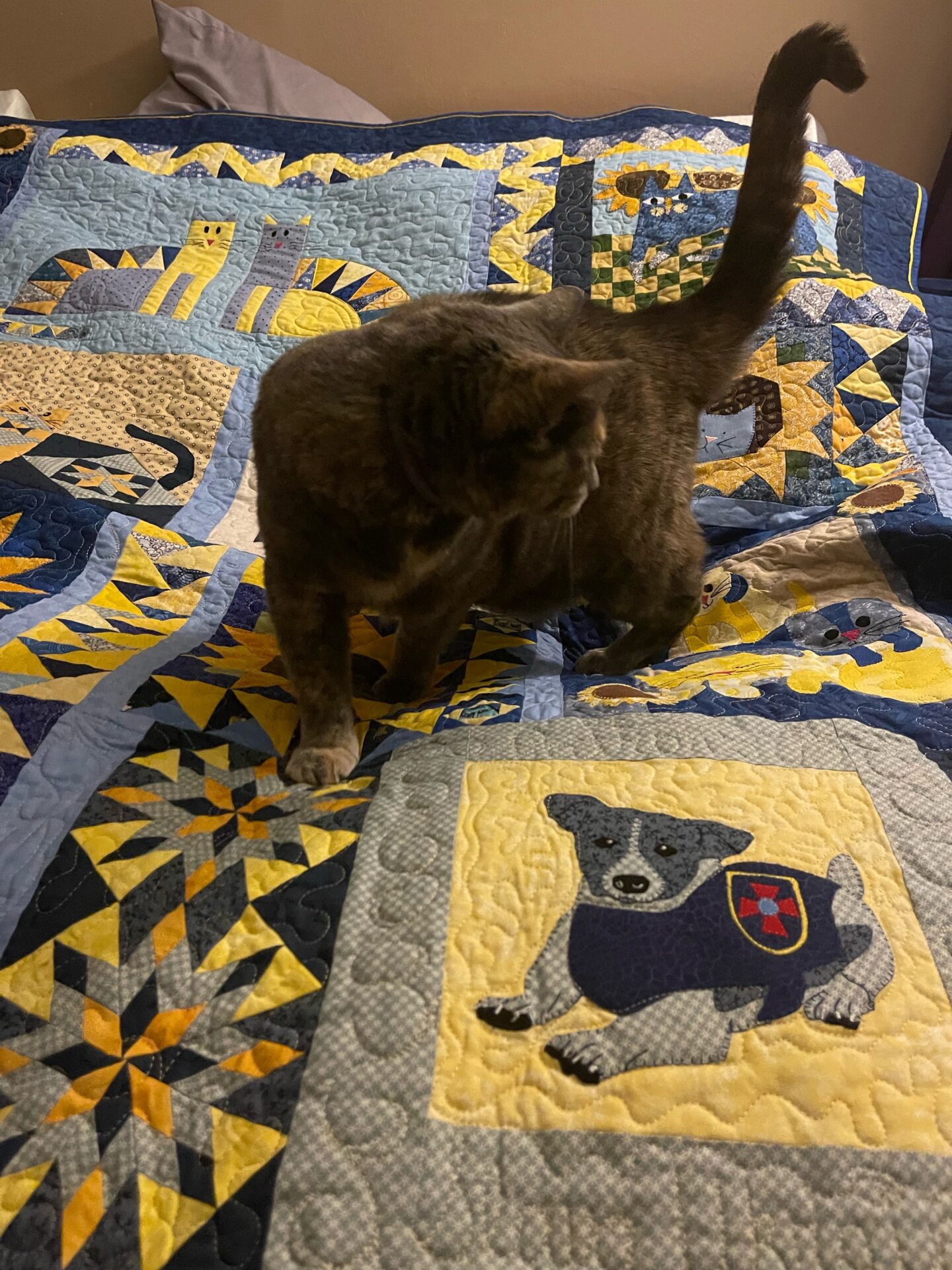 Open Thread: Jade Loves Her New Quilt 1