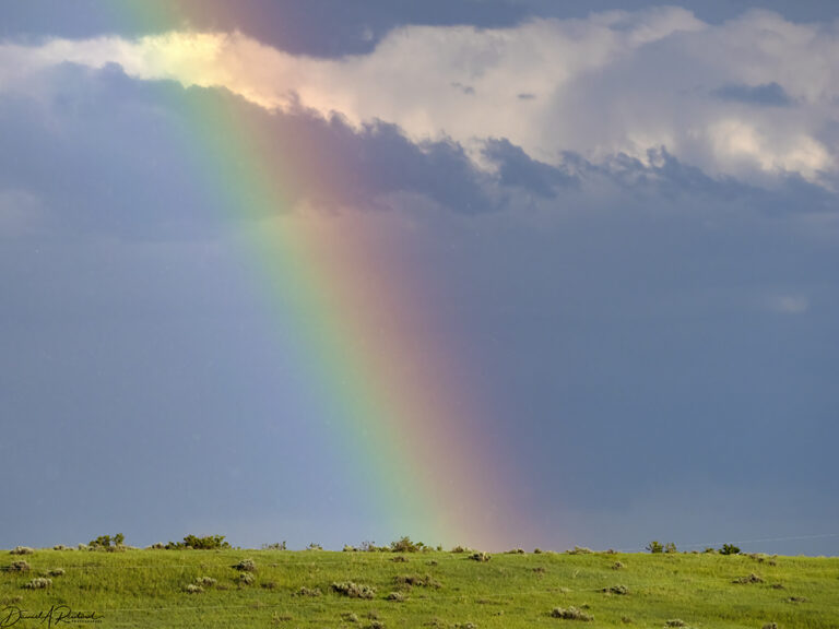 On The Road - Albatrossity - Montana prairies - week 1 4