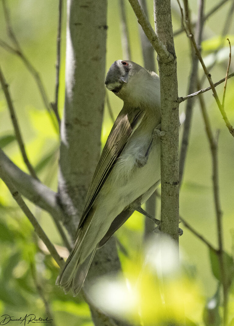 On The Road - Albatrossity - Montana prairies - 5 8