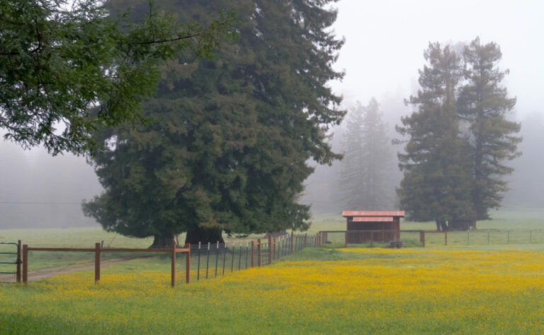 On The Road - JanieM - Mendocino 5 of 5 1