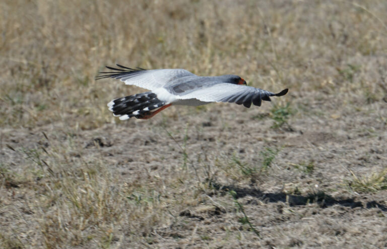 On The Road - Kabecoo - Botswana 9 10