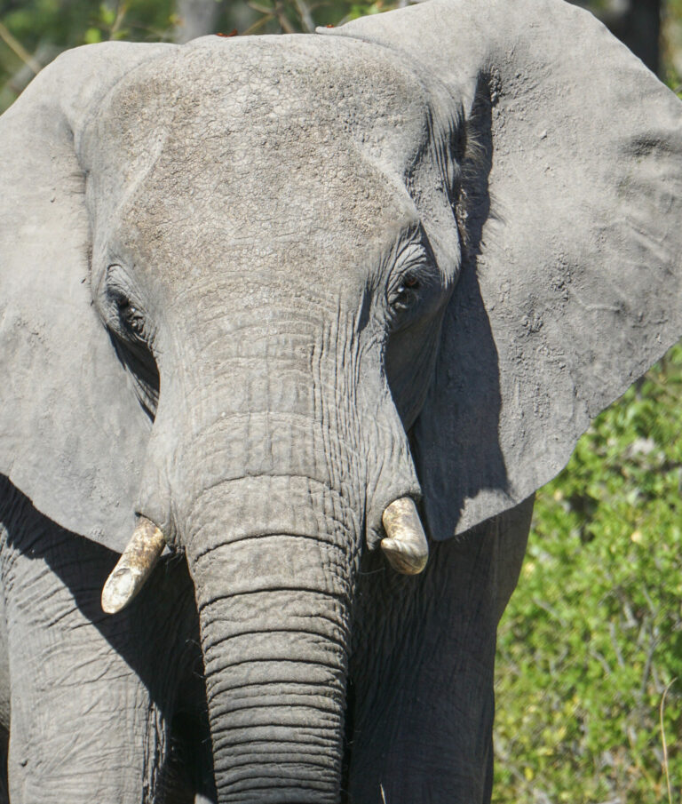 On The Road - Kabecoo - Botswana 7 10