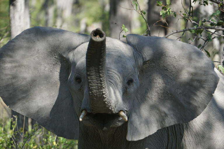 On The Road - Kabecoo - Botswana 7 9