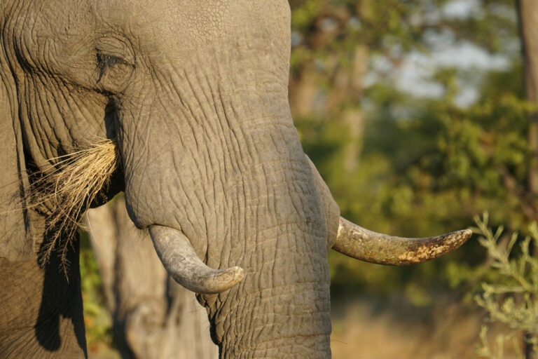 On The Road - Kabecoo - Botswana 7 8