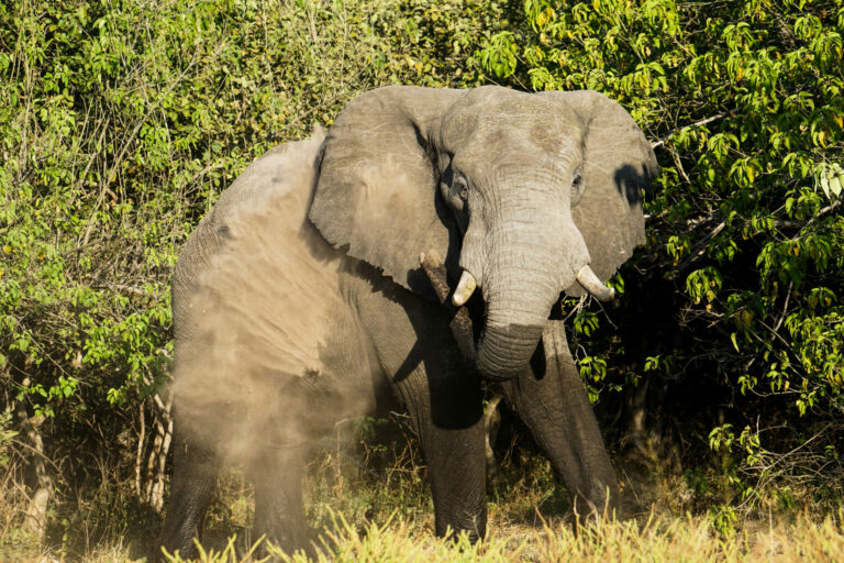 On The Road - Kabecoo - Botswana 7 6