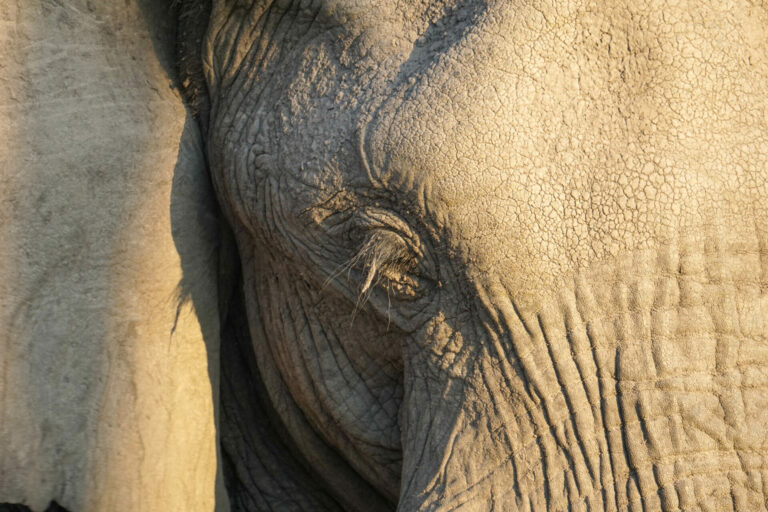 On The Road - Kabecoo - Botswana 7 5