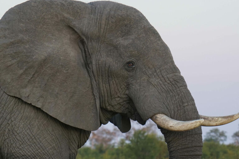 On The Road - Kabecoo - Botswana 7 4