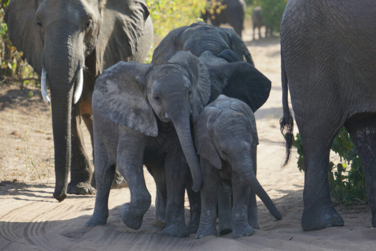 On The Road - Kabecoo - Botswana 49