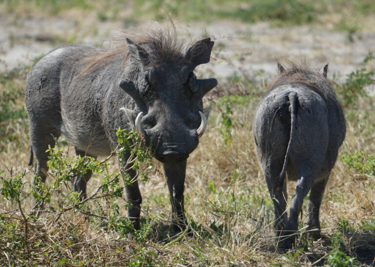 On The Road - Kabecoo - Botswana 55