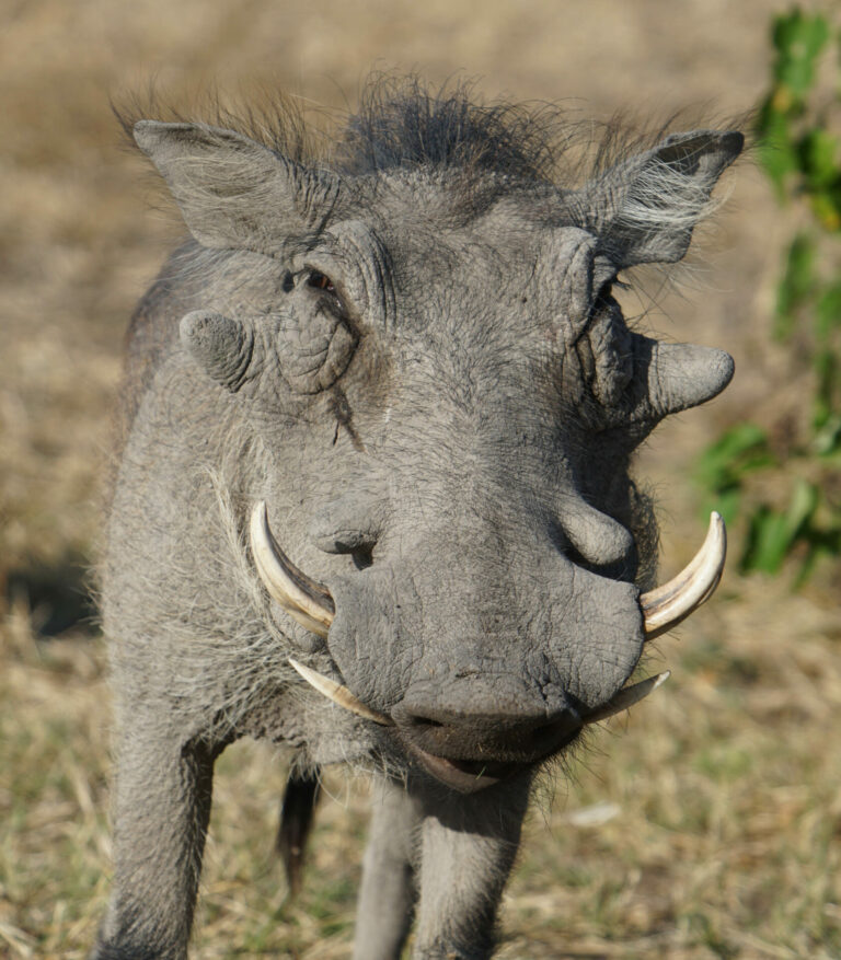 On The Road - Kabecoo - Botswana 53