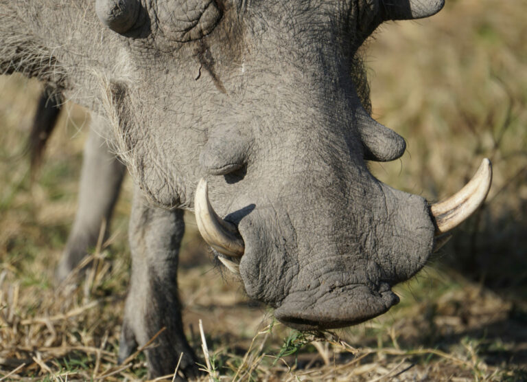 On The Road - Kabecoo - Botswana 52