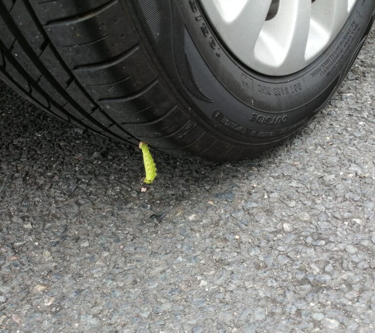 On The Road - Litlebritdifrnt - Gretna Green