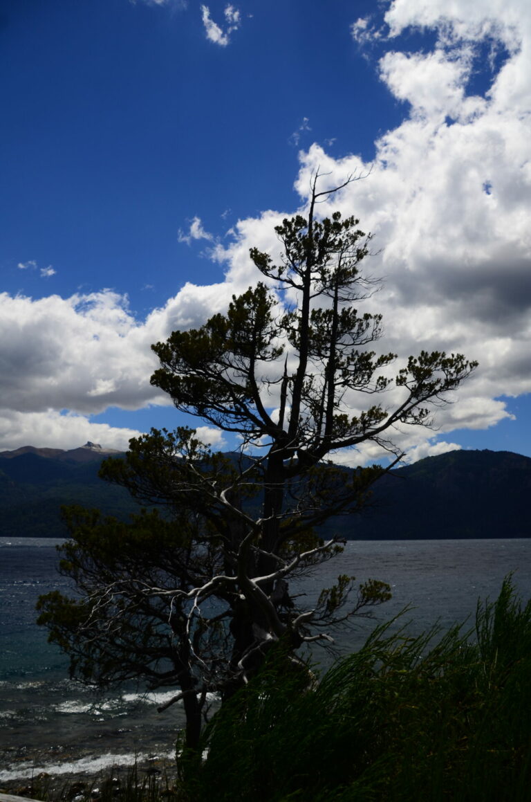 On The Road - Gin & Tonic - Patagonia, Argentina, vol 1 4