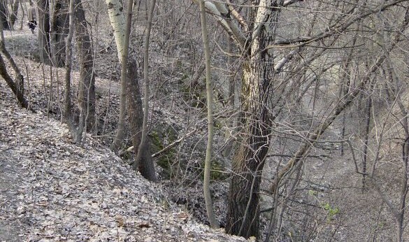 Picture of the ravine at Babin Yar, Ukraine