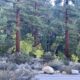 On The Road - UncleEbeneezer - Stay Gold, Eastern Sierra (Part1/4) 8