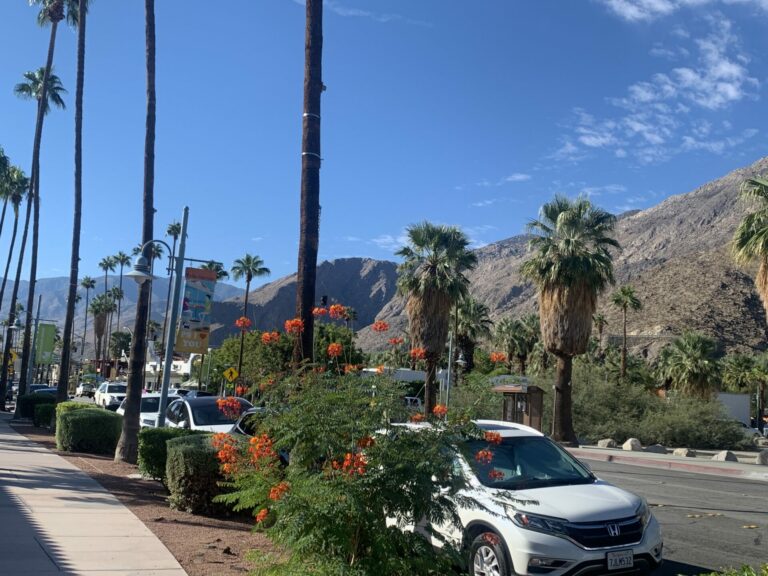 On The Road - FelonyGovt - Palm Springs, CA 1