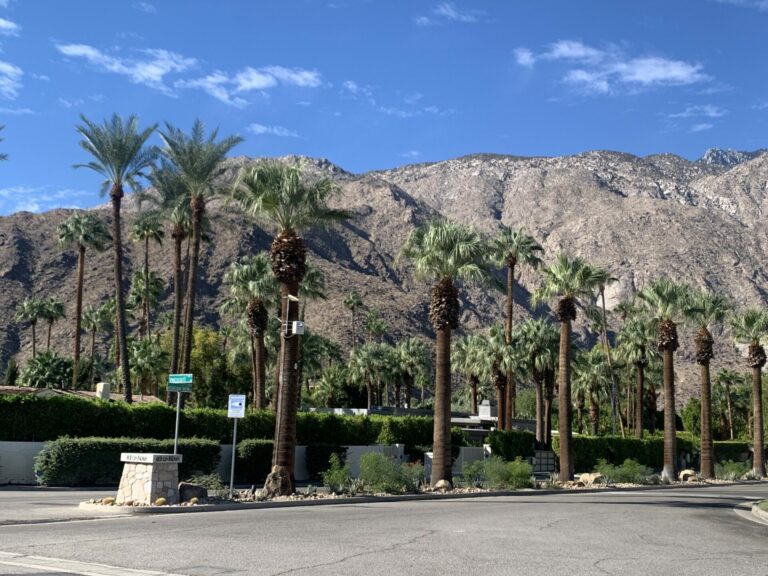 On The Road - FelonyGovt - Palm Springs, CA 4